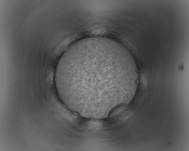 X0000110710668200906261432