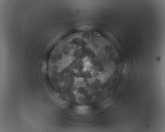 X0000110710669200906261432