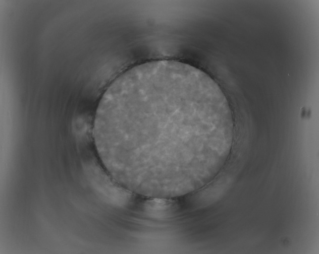 X0000110710672200906261433