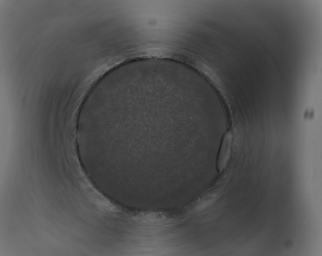 X0000110710673200906261432