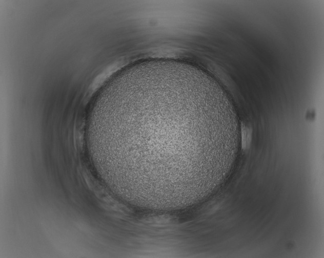 X0000110710675200906261432