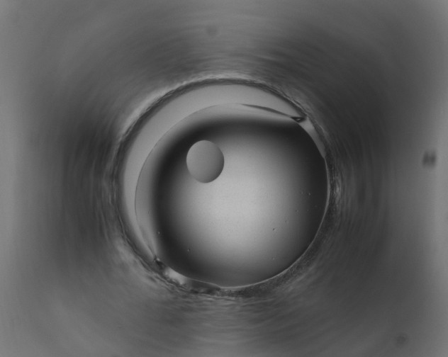 X0000110710676200906261432