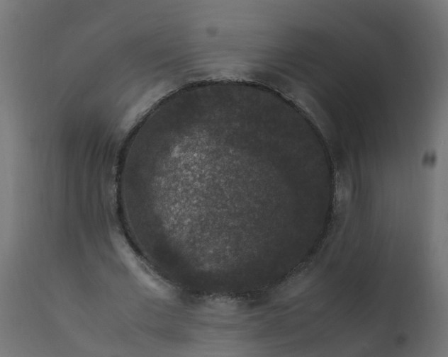 X0000110710677200906261432