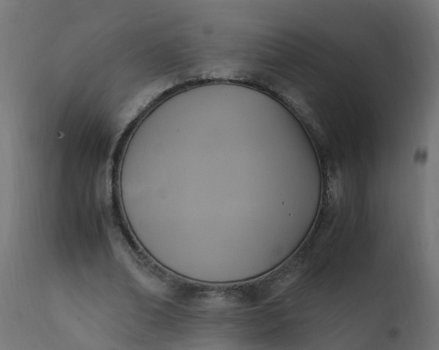X0000110710678200906261432