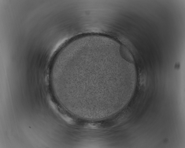 X0000110710680200906261432