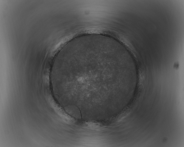 X0000110710681200906261432