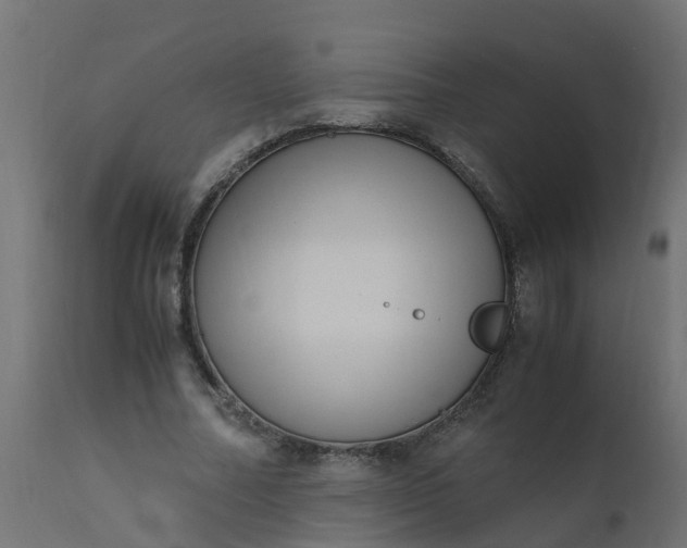 X0000110710682200906261432