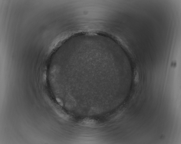 X0000110710685200906261432