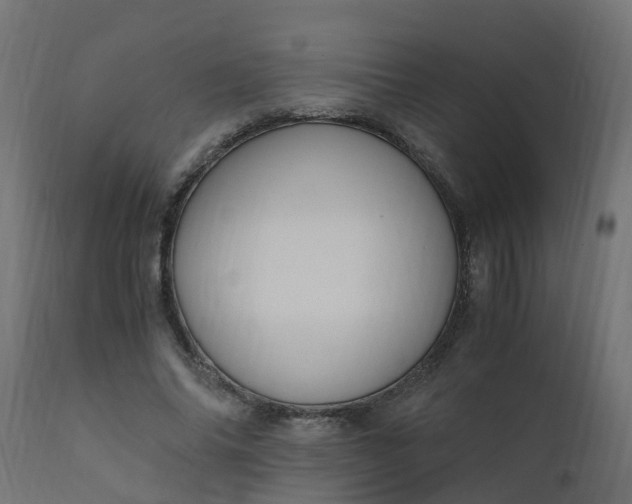 X0000110710686200906261432