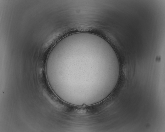 X0000110710687200906261432