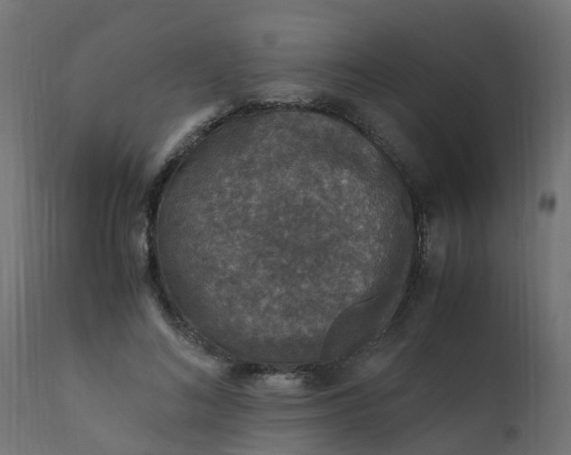 X0000110710692200906261432