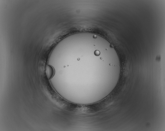 X0000110710695200906261432