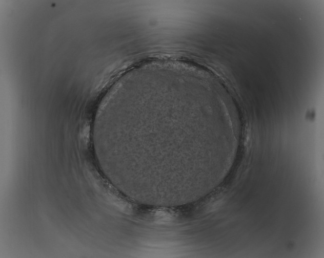 X0000110710697200906261431
