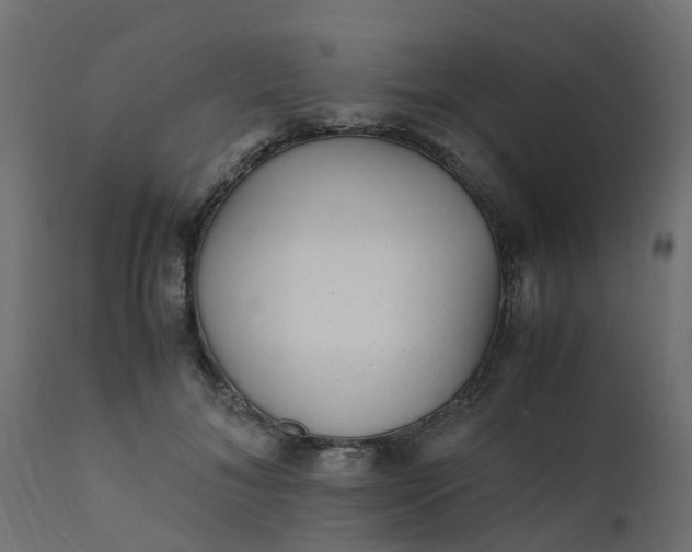 X0000110710700200906261431