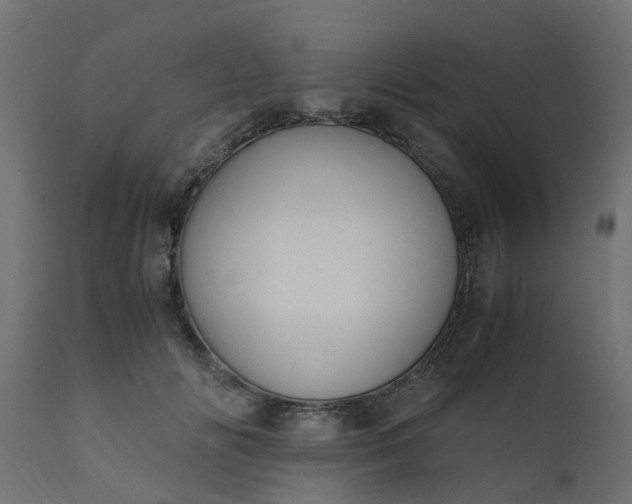X0000110710702200906261431