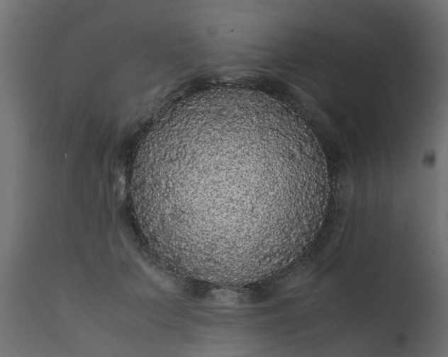 X0000110710703200906261431