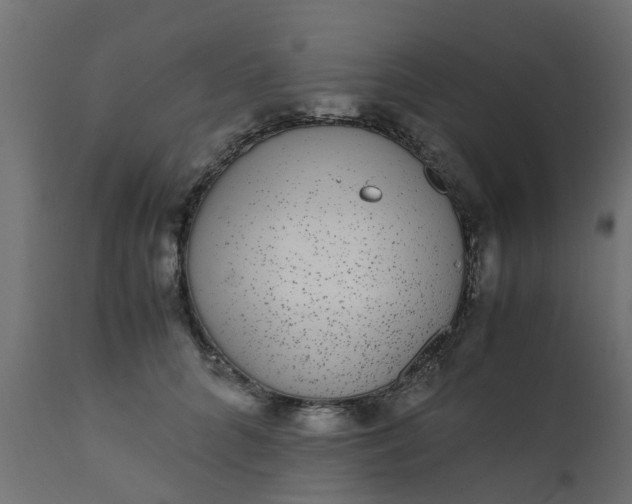 X0000110710704200906261431