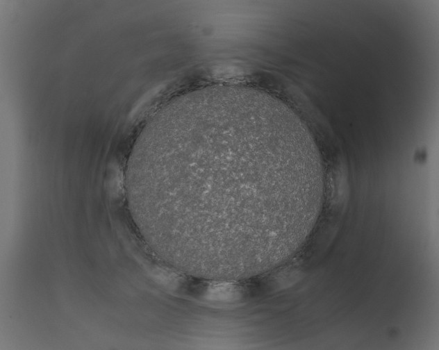 X0000110710705200906261431