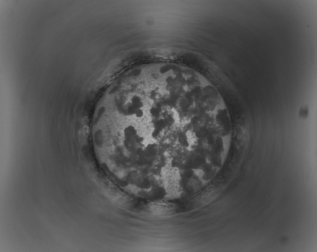X0000110710707200906261431
