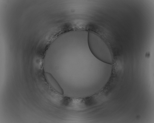 X0000110710709200906261431