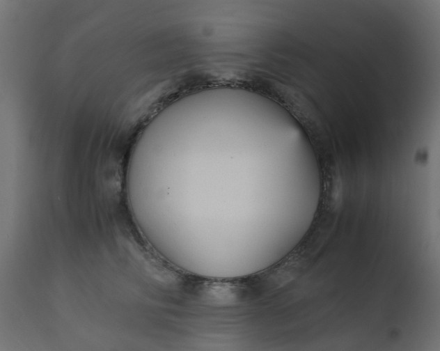X0000110710710200906261431