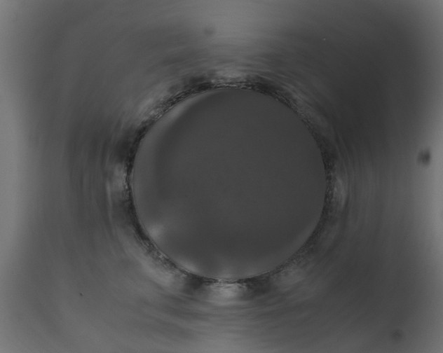 X0000110710711200906261431