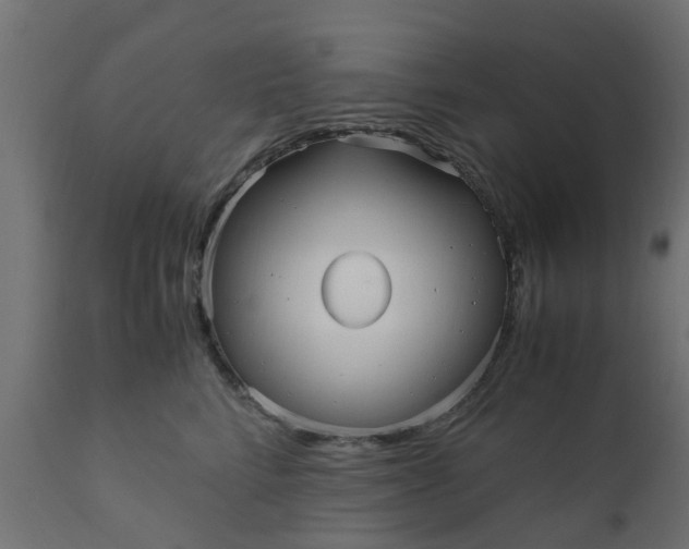 X0000110710712200906261431