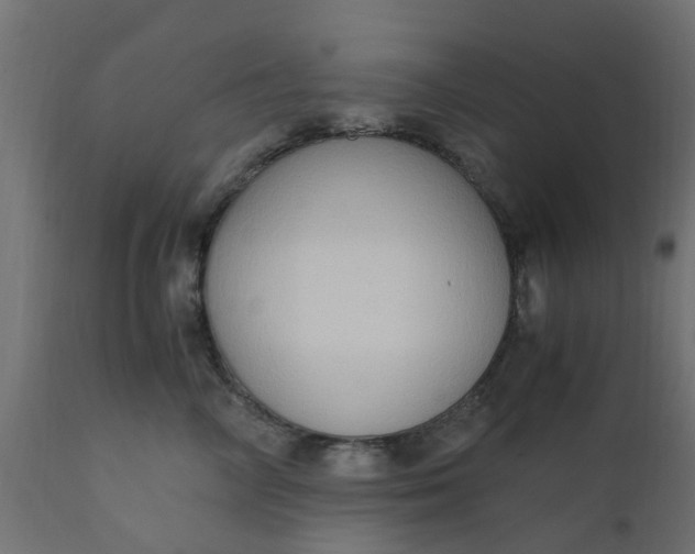 X0000110710714200906261431