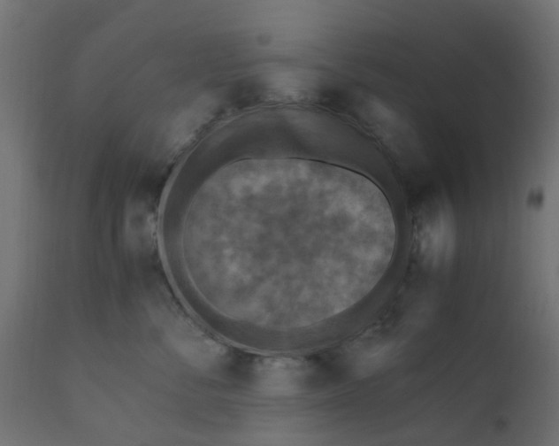 X0000110710716200906261431