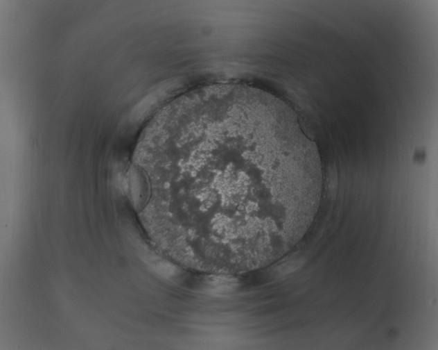 X0000110710719200906261431