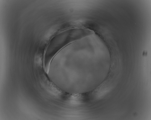 X0000110710720200906261431