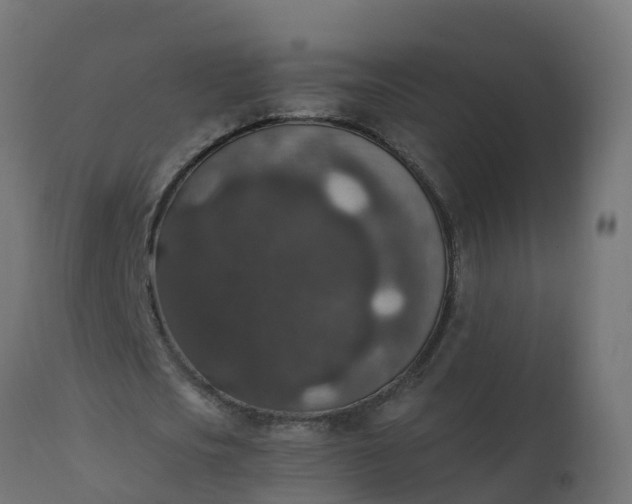 X0000110710721200906261430