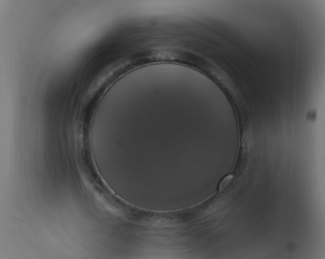 X0000110710722200906261430