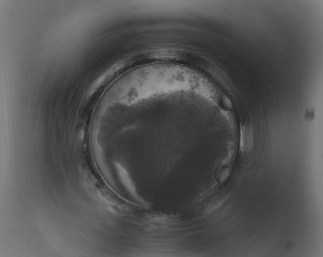 X0000110710723200906261430