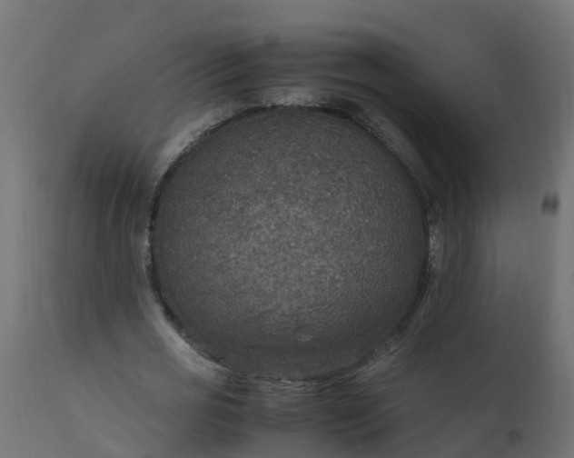 X0000110710725200906261430