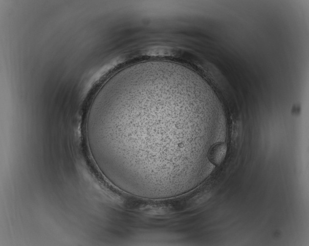 X0000110710727200906261430
