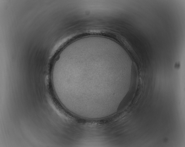 X0000110710728200906261430