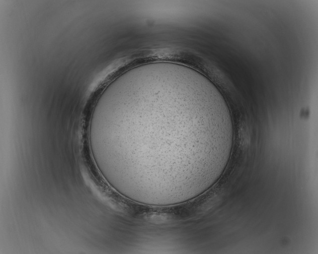 X0000110710730200906261430