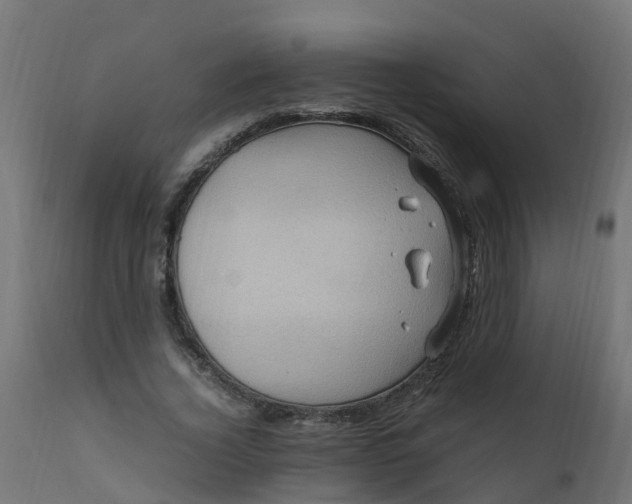 X0000110710732200906261430