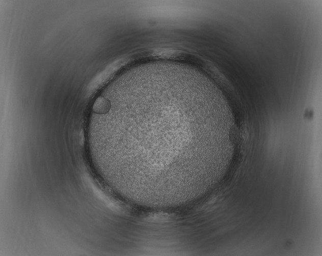 X0000110710734200906261431