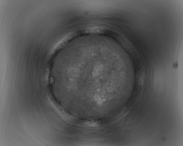 X0000110710735200906261431