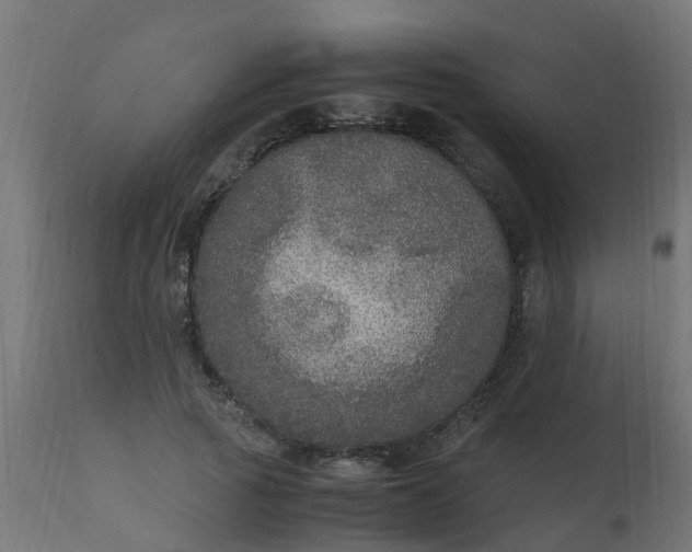 X0000110710737200906261431