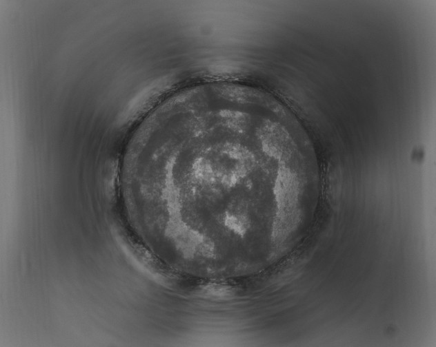X0000110710742200906261431