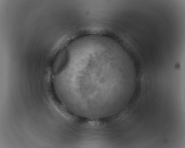 X0000110710744200906261431