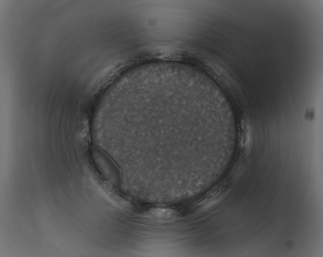 X0000110710748200906261431