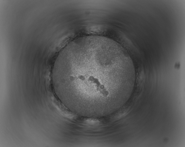 X0000110710749200906261431
