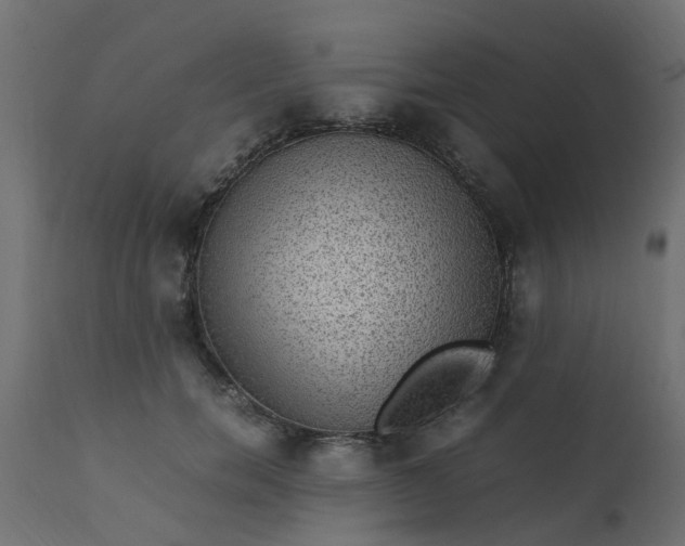 X0000110710750200906261431