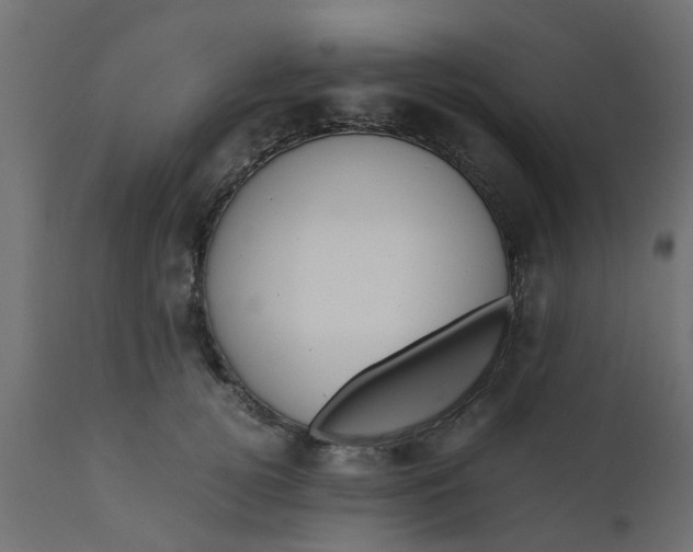 X0000110710752200906261431