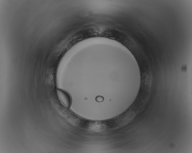 X0000110710754200906261431