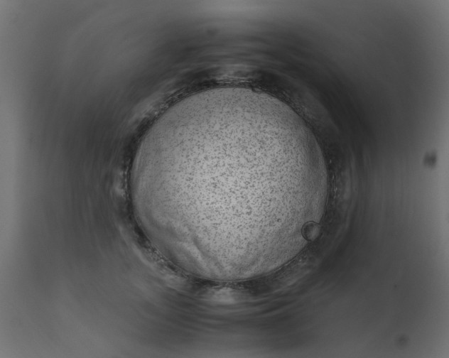 X0000110710755200906261431